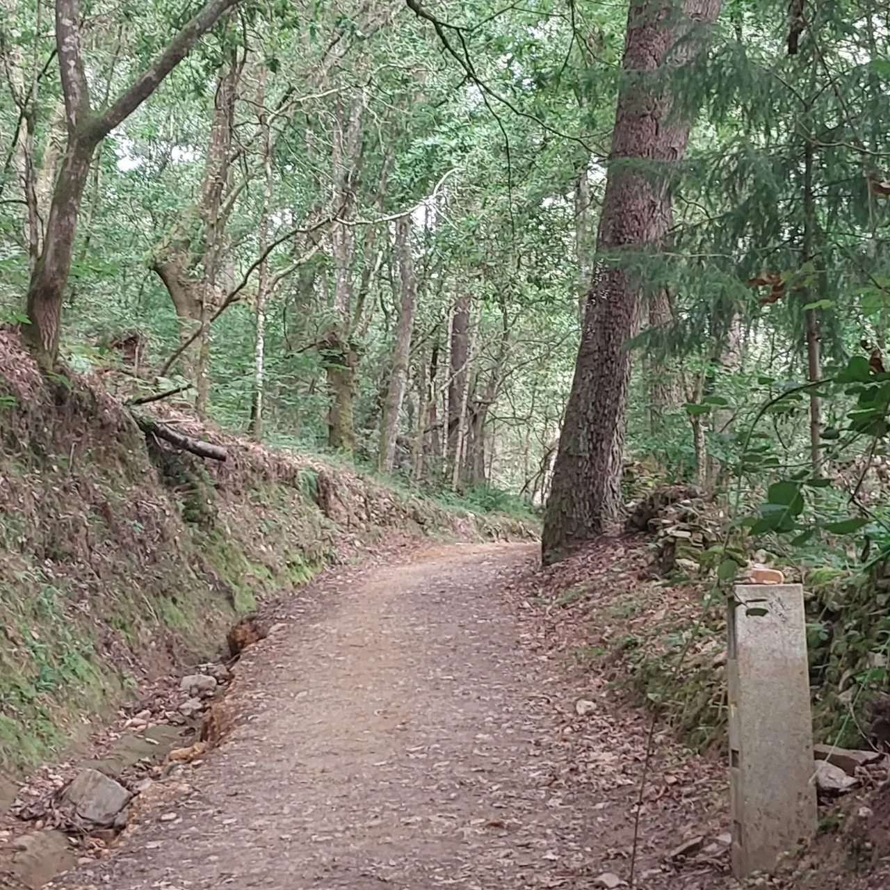 1_38aUd018svc1hus1b2k6tuh6_bc1i52.jpg?type=e1920_std