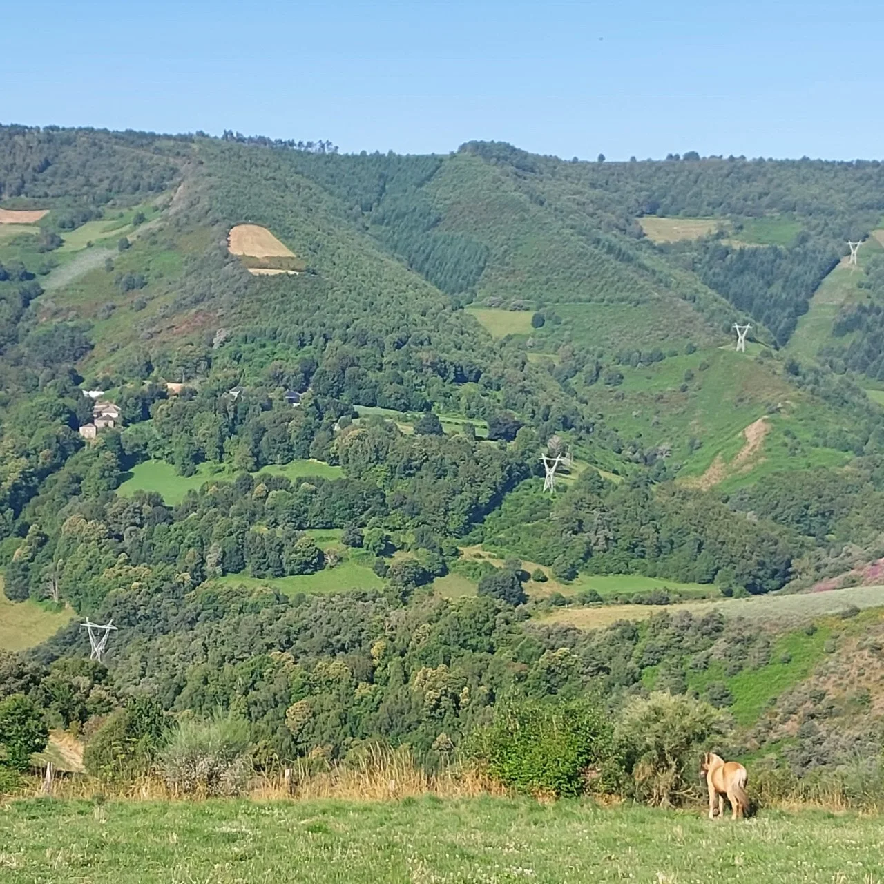 e_ia4Ud018svc71x0md4ayhhv_bc1i52.jpg?type=e1920_std