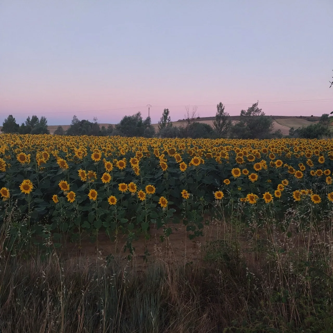 5_ebhUd018svc19yg896u208gm_bc1i52.jpg?type=e1920_std