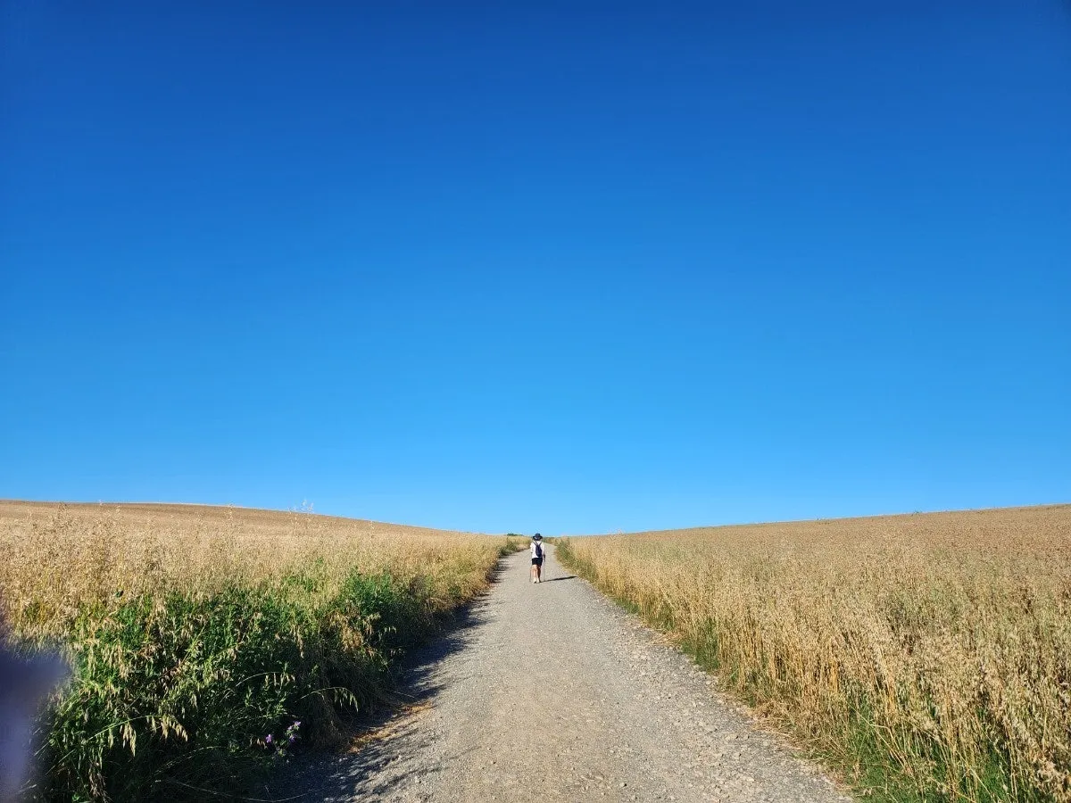 5_i94Ud018svc12nyjt1a7526x_bc1i52.jpg?type=e1920_std