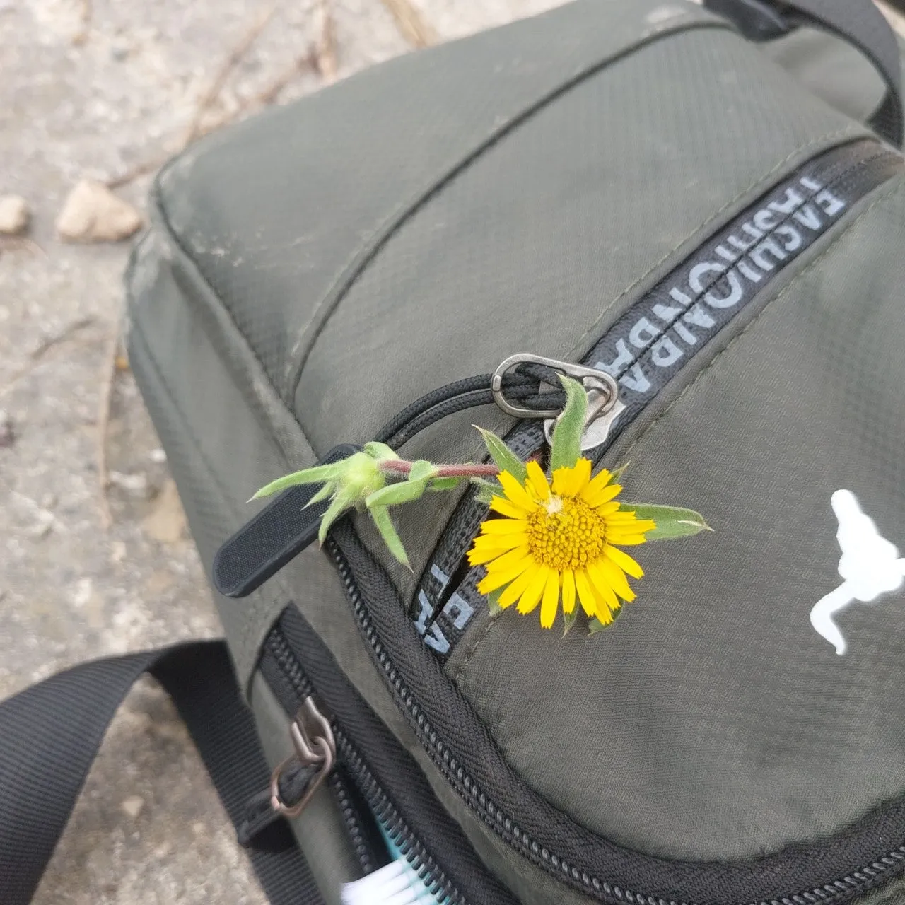 3_34dUd018svcjv54ei14mcpg_bc1i52.jpg?type=e1920_std