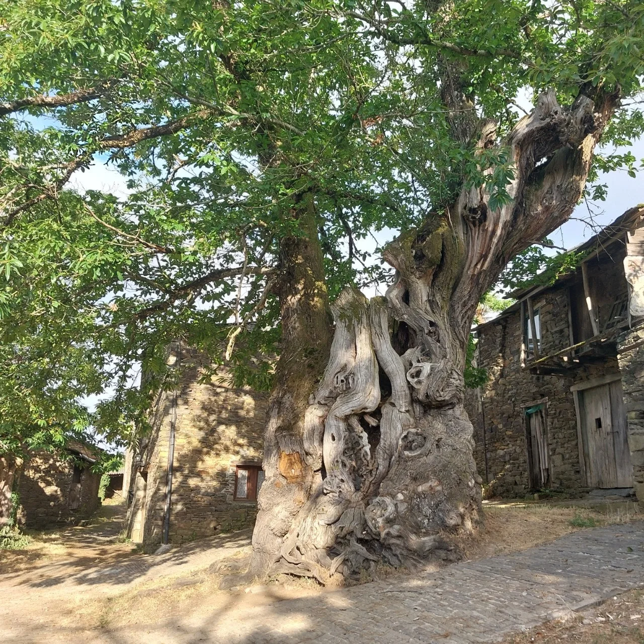 a_3i6Ud018svc6hj7lzgr28ld_bc1i52.jpg?type=e1920_std