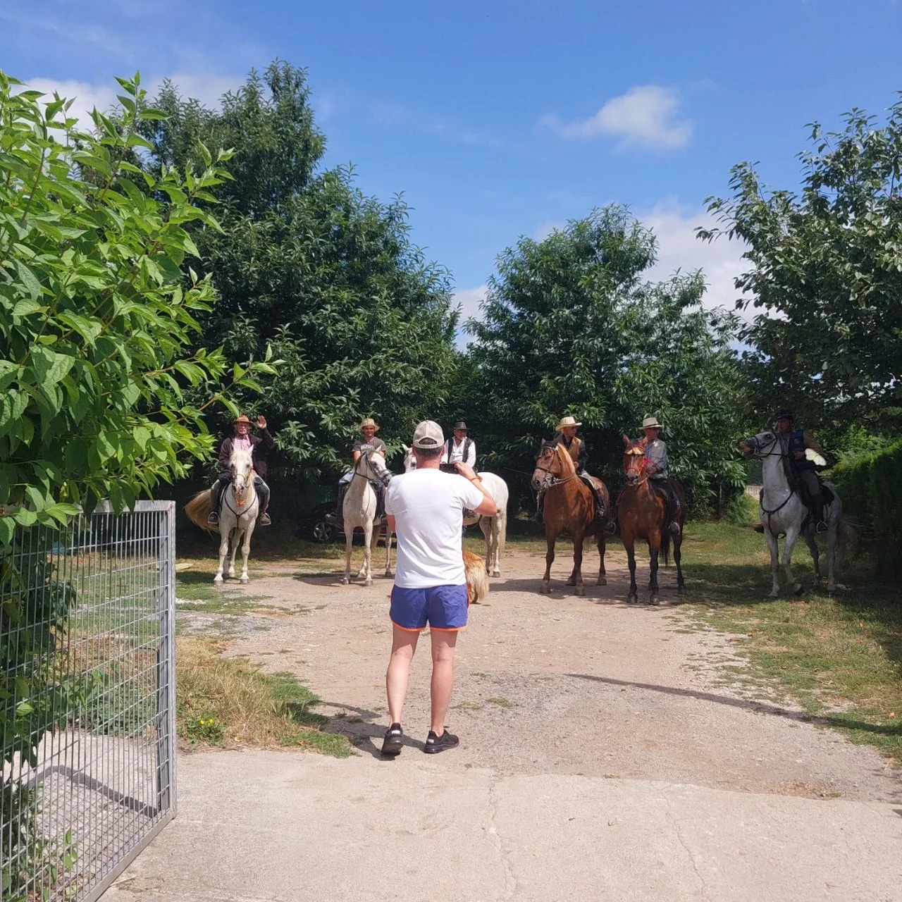 j_ihcUd018svcg87ajggpcnvt_bc1i52.jpg?type=e1920_std