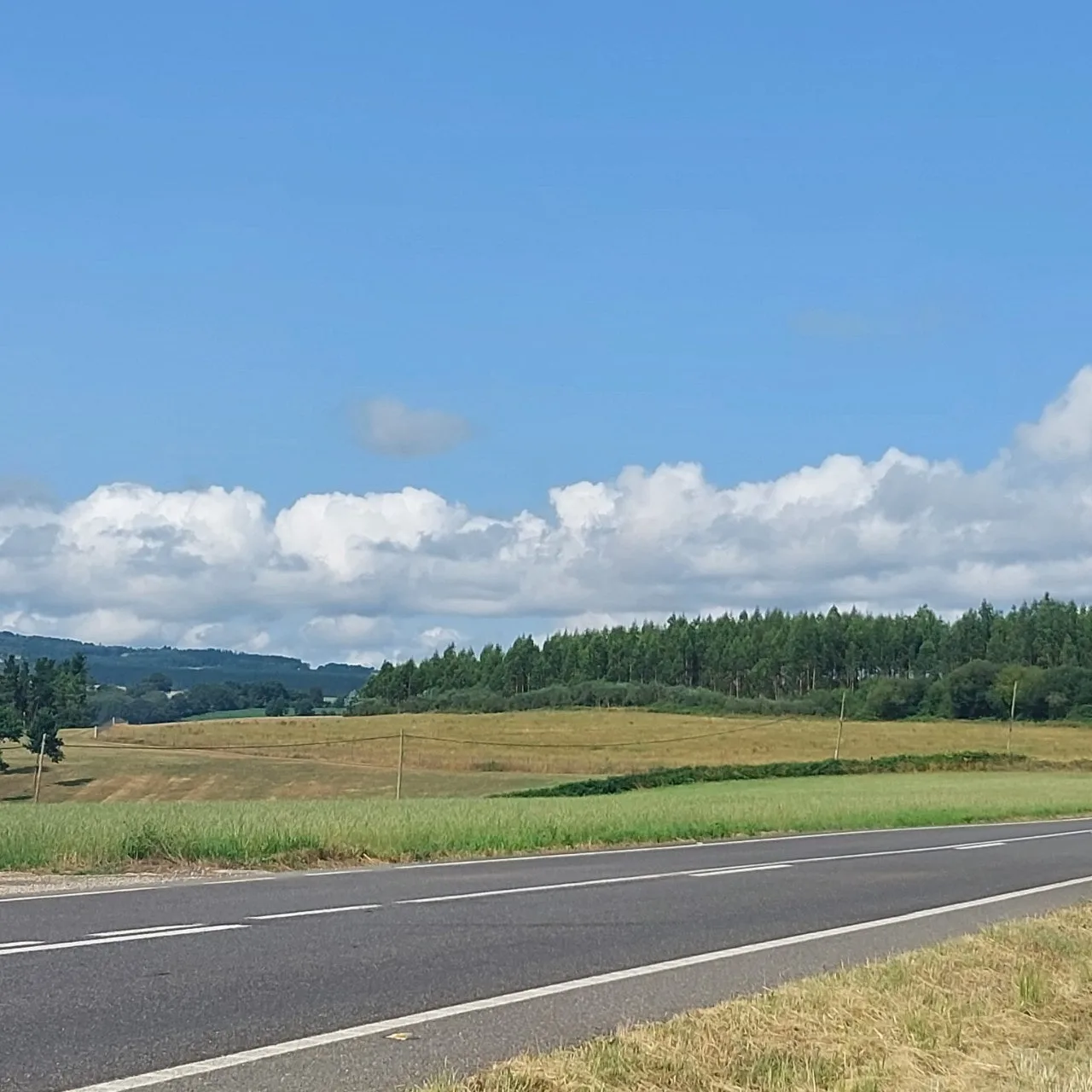 2_48aUd018svc17mghtgn0qanx_bc1i52.jpg?type=e1920_std