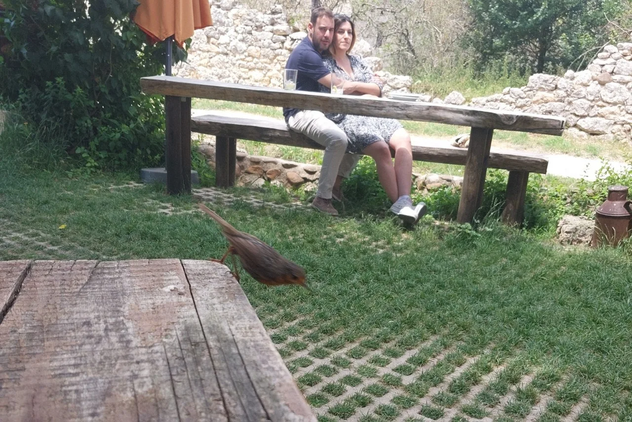 7_094Ud018svcs6x249axfhaq_bc1i52.jpg?type=e1920_std