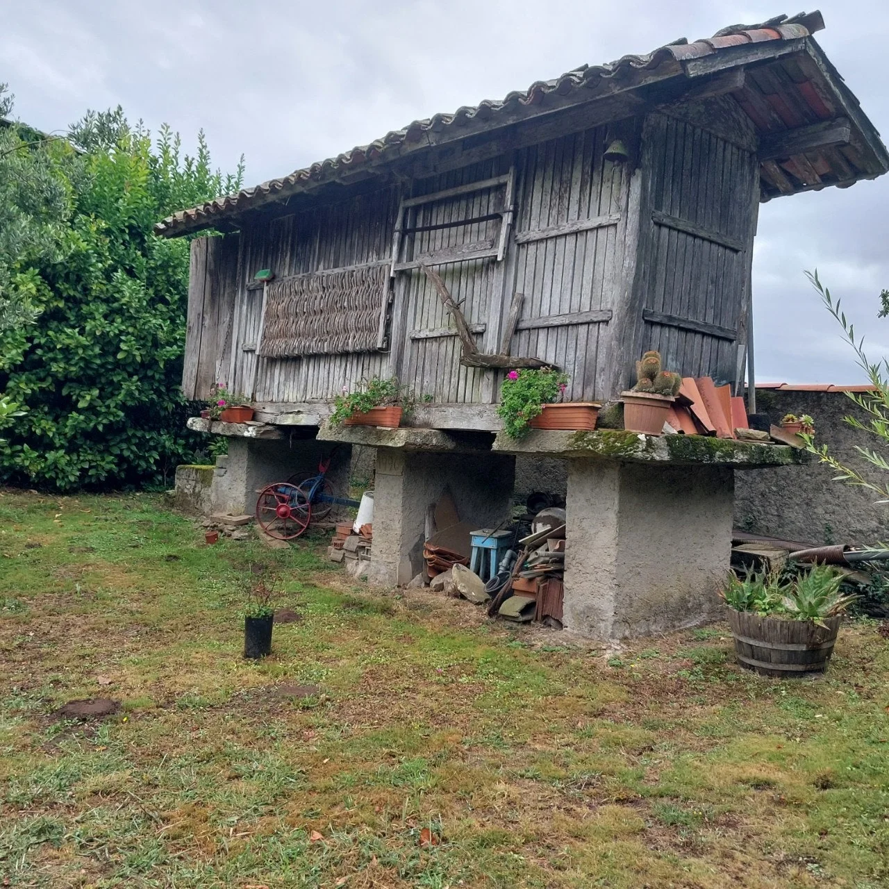 j_6d3Ud018svc1jofiijezz6by_bc1i52.jpg?type=e1920_std