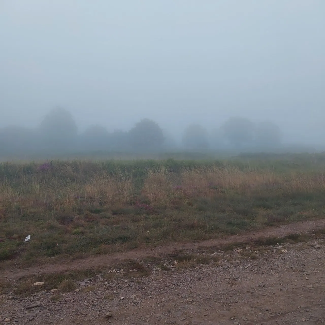 4_ehdUd018svc1aovvwlz5p5j_bc1i52.jpg?type=e1920_std