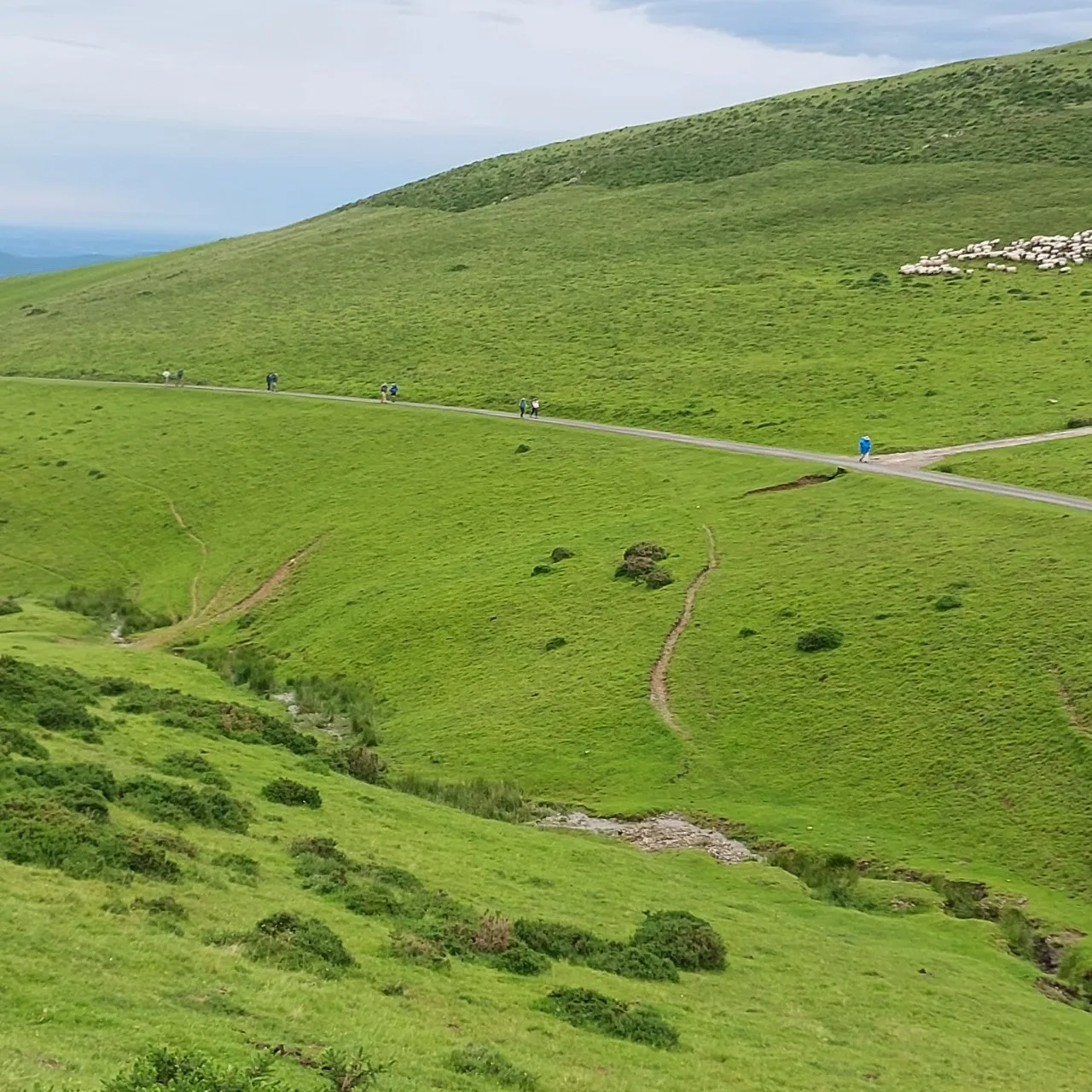 4_6bgUd018svc194ryzhromkgy_bc1i52.jpg?type=e1920_std