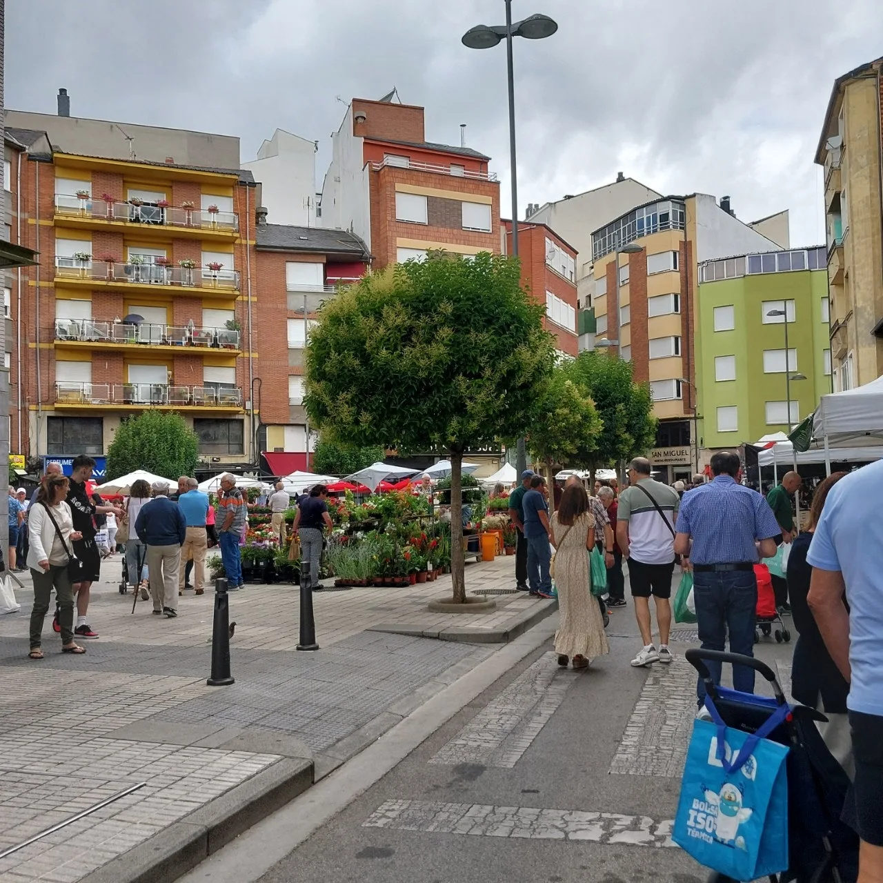 9_3abUd018svct1c7edc175ik_bc1i52.jpg?type=e1920_std