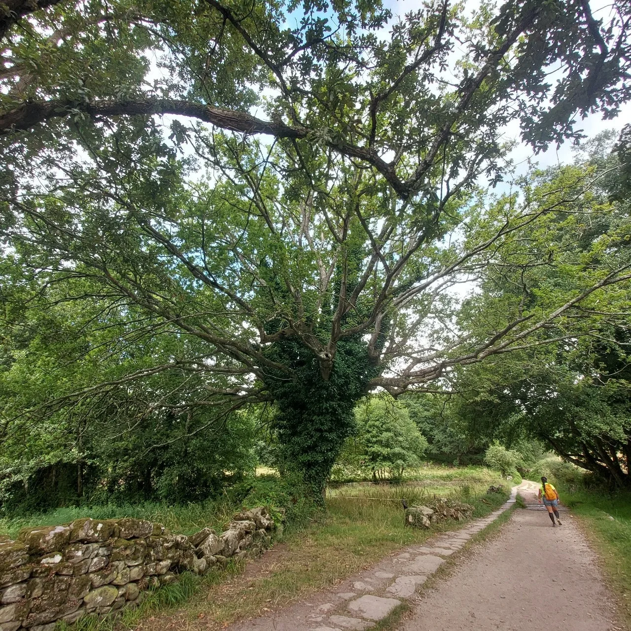 3_a2cUd018svc4r08g5h6aamh_bc1i52.jpg?type=e1920_std