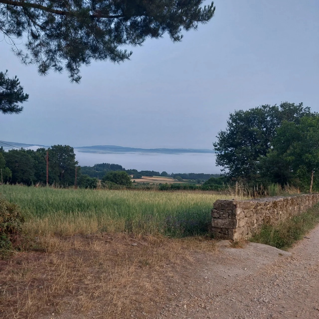 c_68aUd018svcrtrs5d5mpk0g_bc1i52.jpg?type=e1920_std