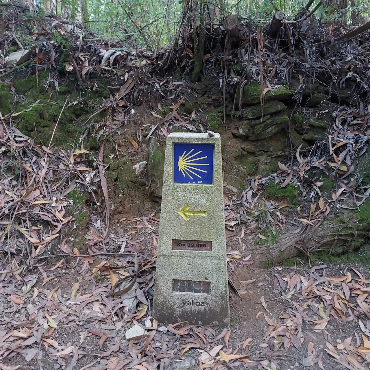 4_71eUd018svctntsuabdcjot_bc1i52.jpg?type=e1920_std