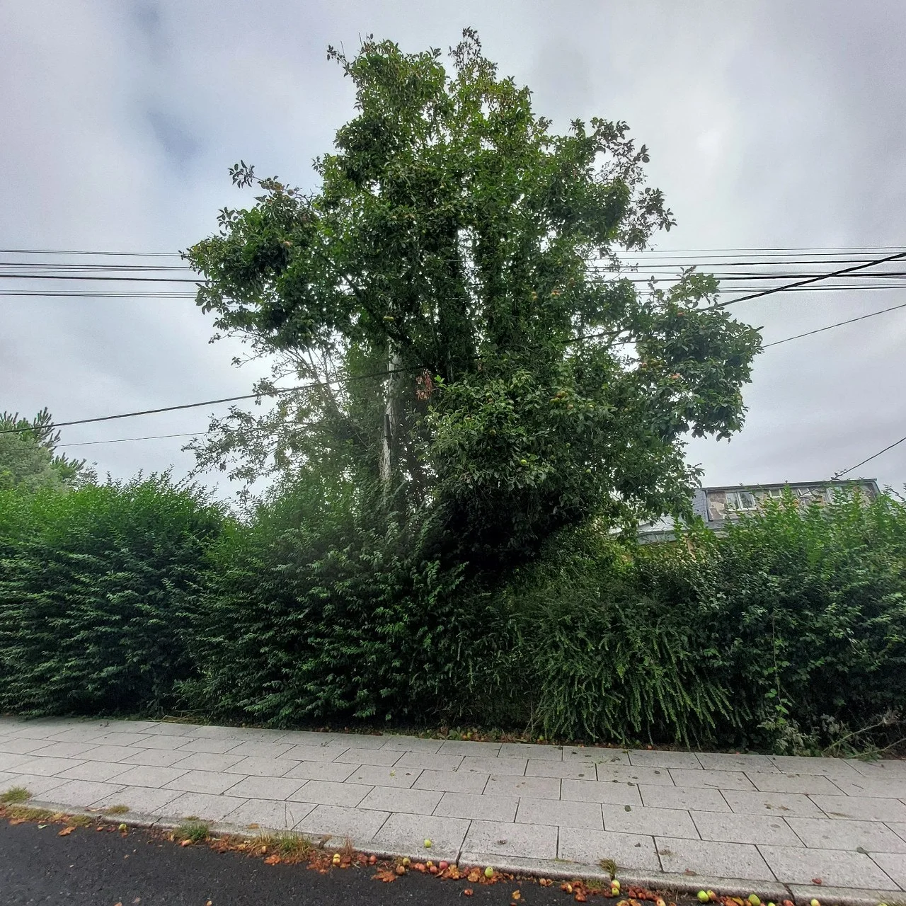 0_1d4Ud018svcx23pcbqrhey4_bc1i52.jpg?type=e1920_std