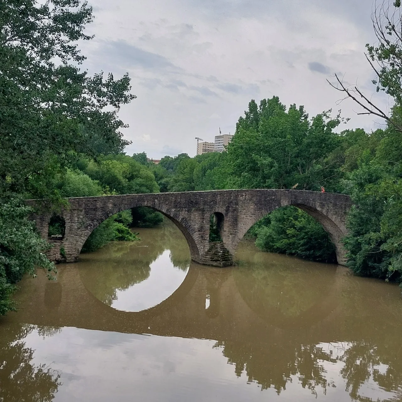 c_94gUd018svcw4arhkpig1vk_bc1i52.jpg?type=e1920_std