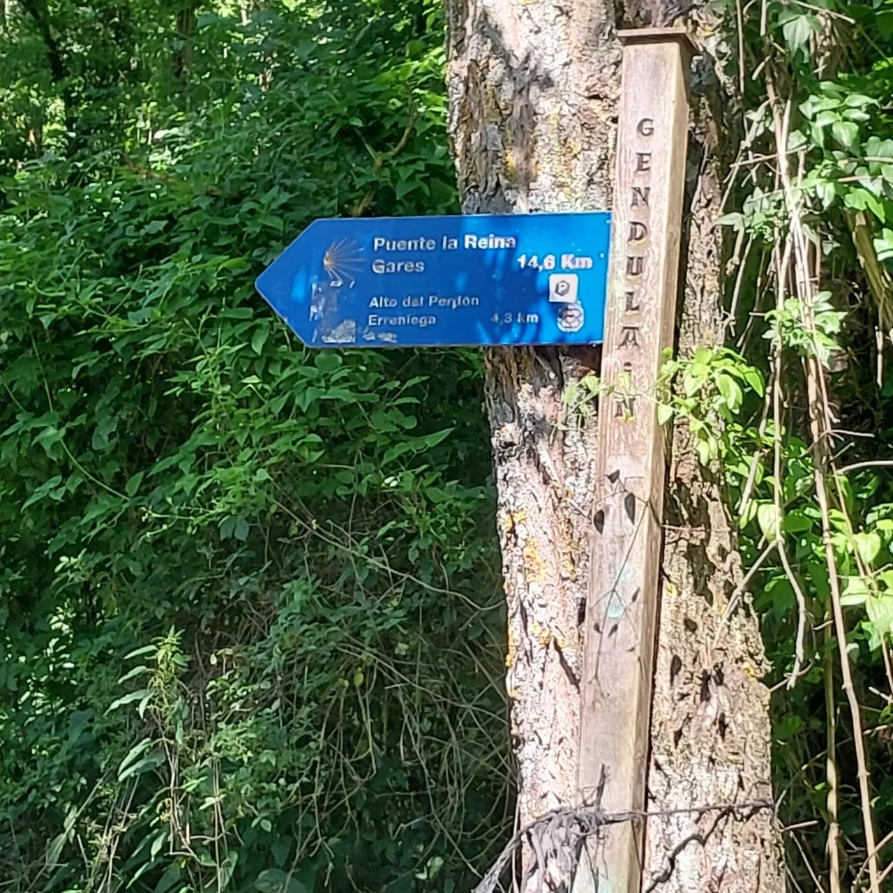 b_4j6Ud018svc1hqb1b3oxjy2a_bc1i52.jpg?type=e1920_std