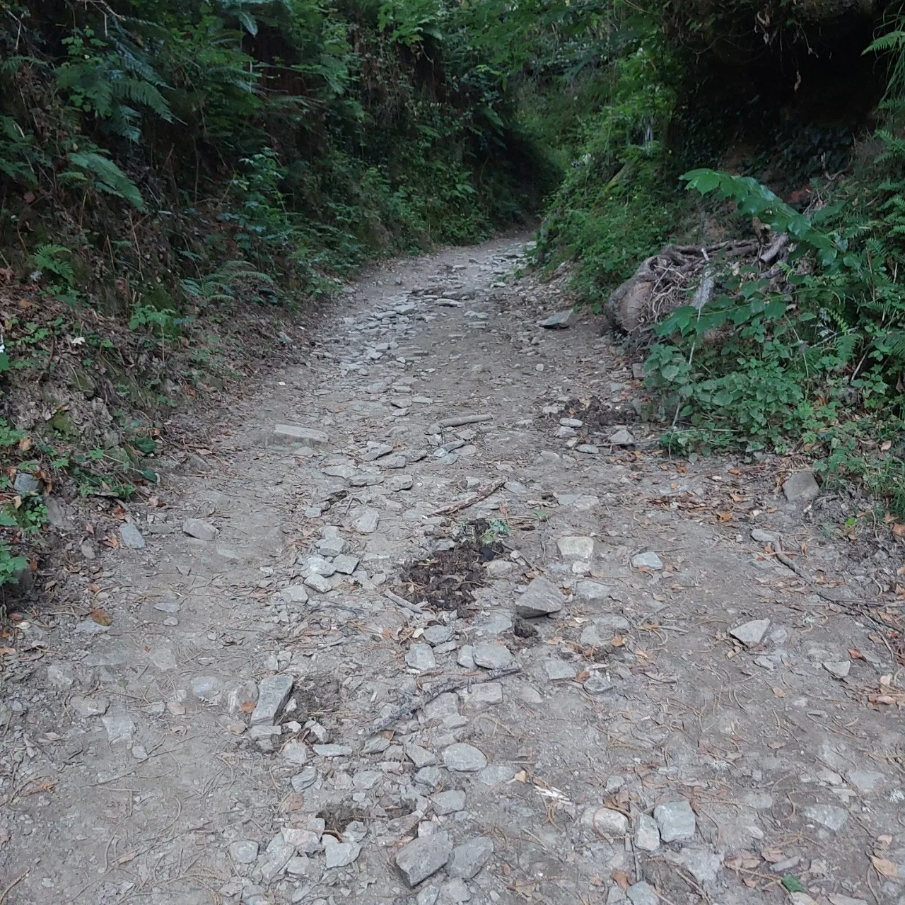 i_5a4Ud018svc1fo4efeswc22a_bc1i52.jpg?type=e1920_std