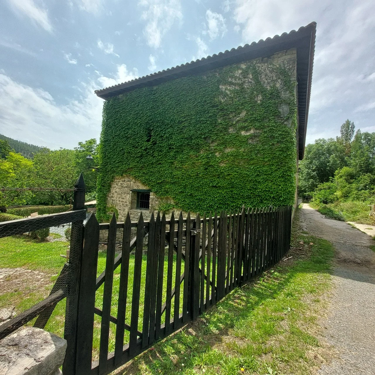 b_84gUd018svc1ek73kvm8rn1r_bc1i52.jpg?type=e1920_std