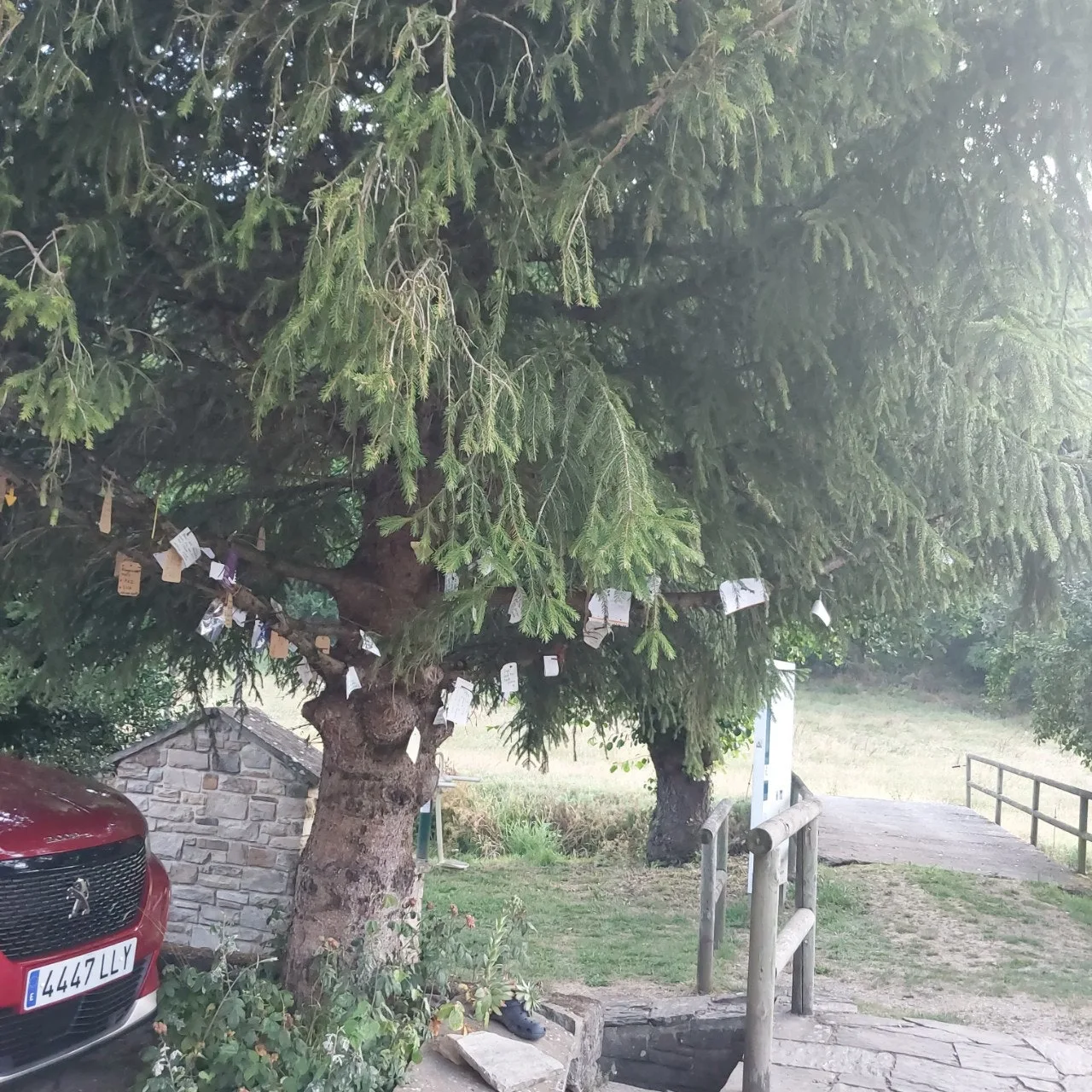 h_ja4Ud018svc1crj2bws1r9jk_bc1i52.jpg?type=e1920_std