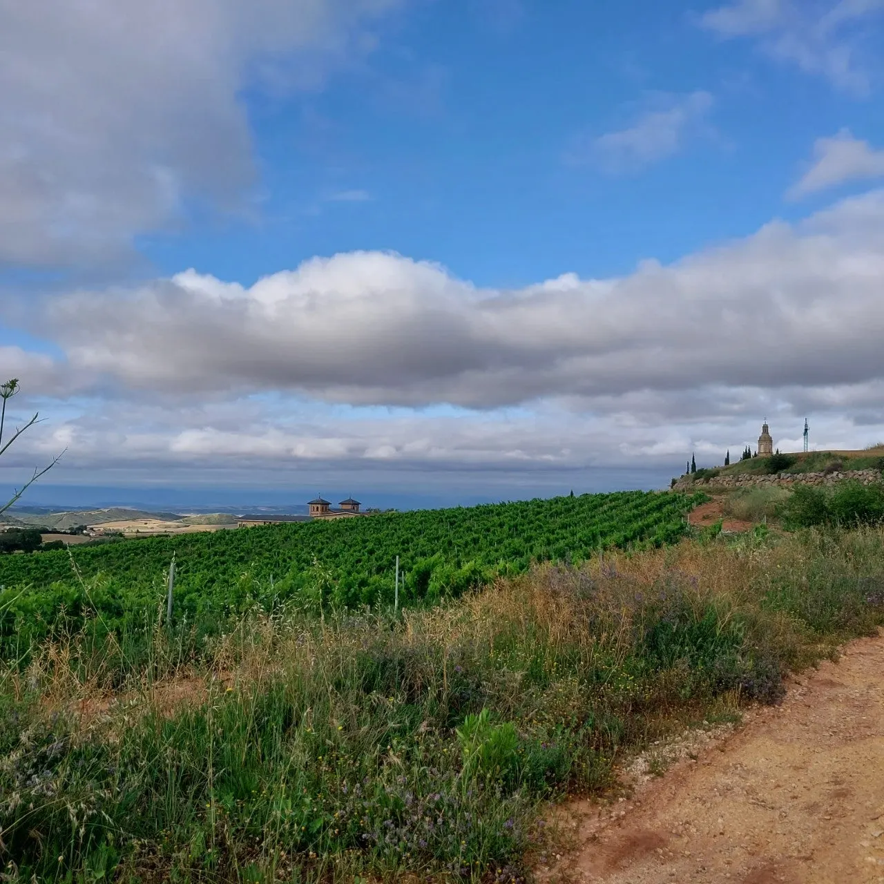 8_7e1Ud018svc1j39wxmyowmsa_bc1i52.jpg?type=e1920_std