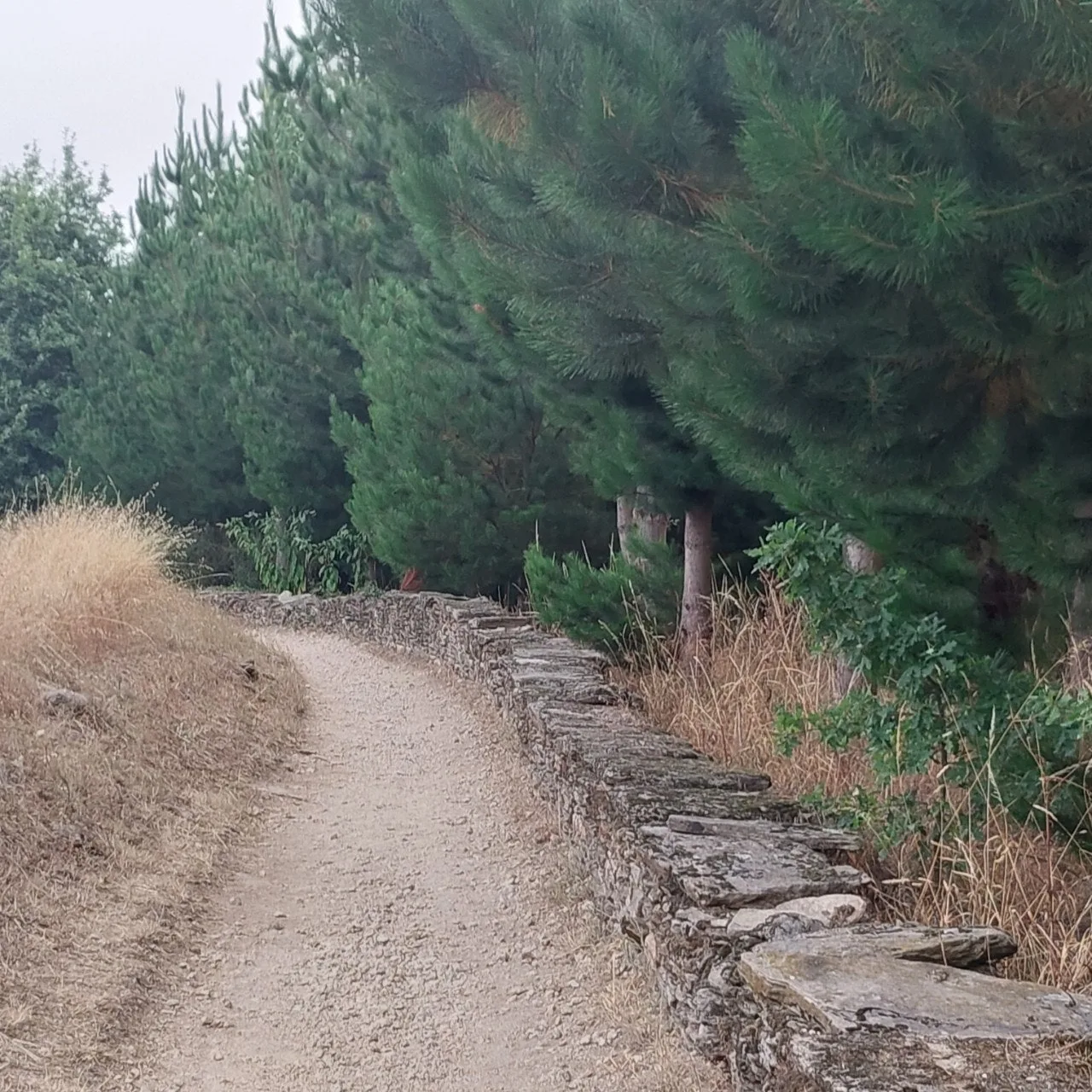 4_b8aUd018svch4ebqzp1jkf0_bc1i52.jpg?type=e1920_std