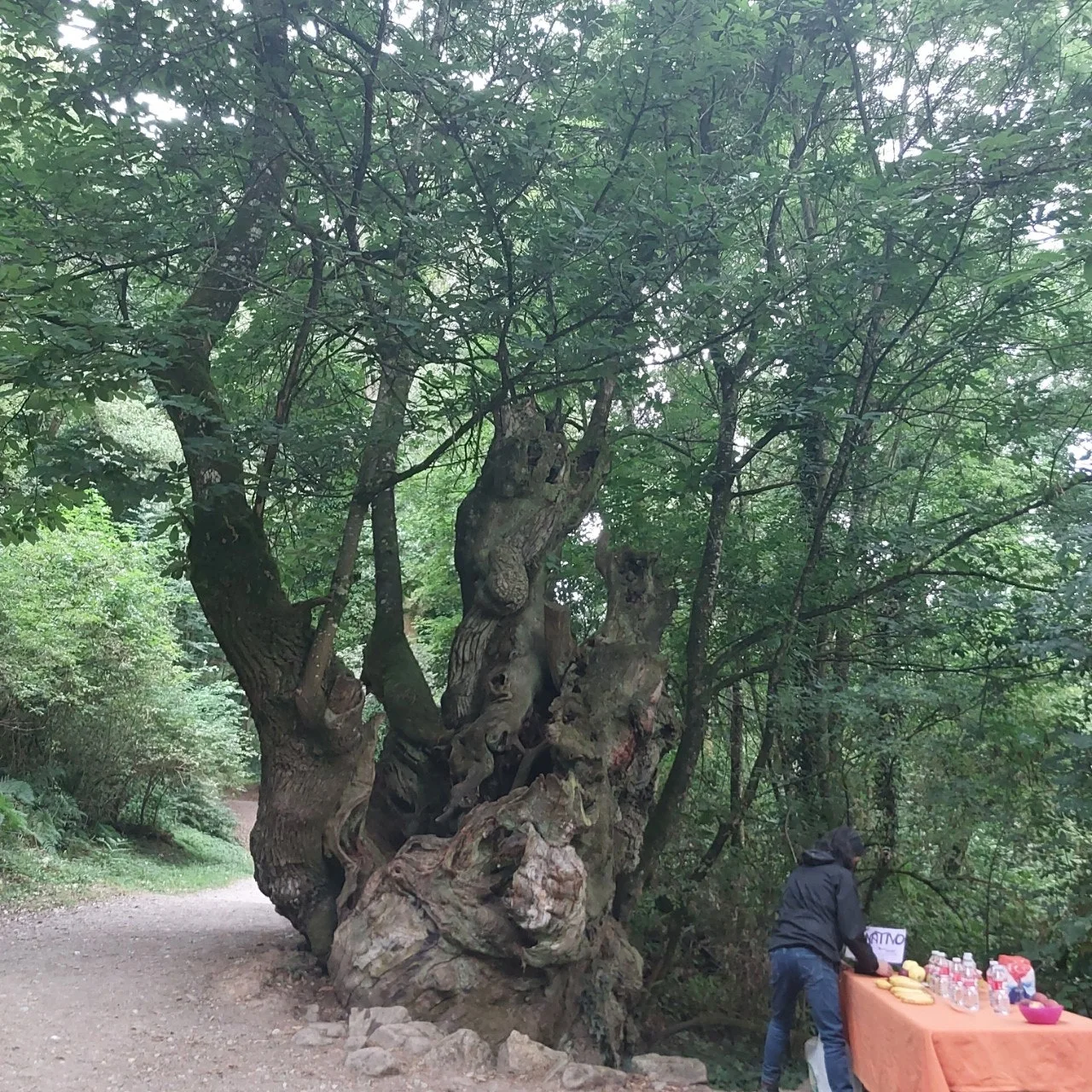 6_22cUd018svc1tun6mu3gs0f4_bc1i52.jpg?type=e1920_std