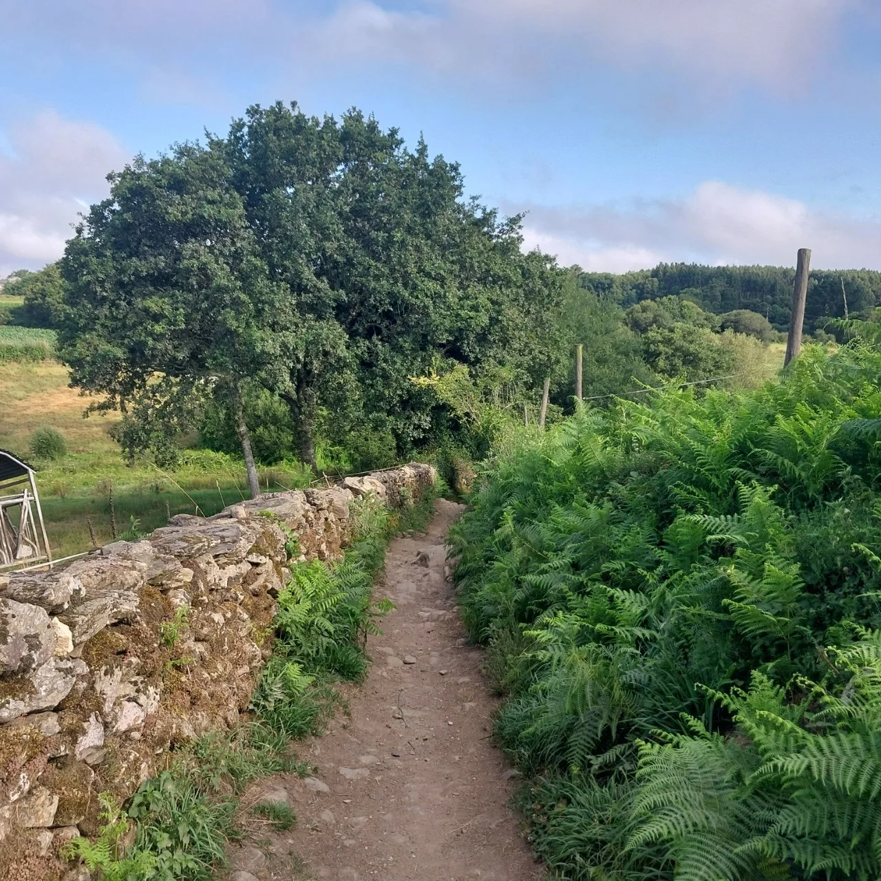 9_bhdUd018svc1ednbque5ulyd_bc1i52.jpg?type=e1920_std