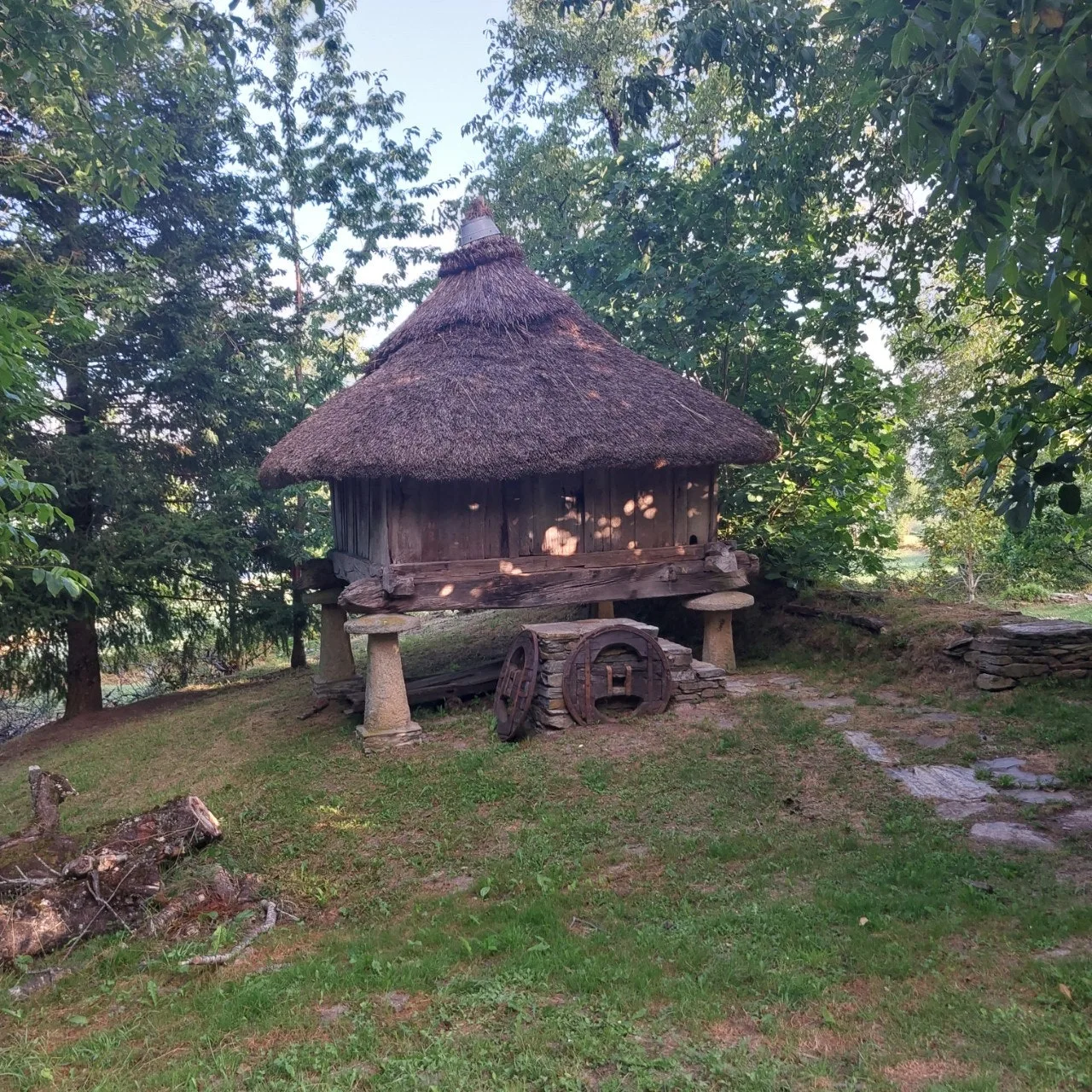 a_3i6Ud018svcnwd22o4v6jxs_bc1i52.jpg?type=e1920_std