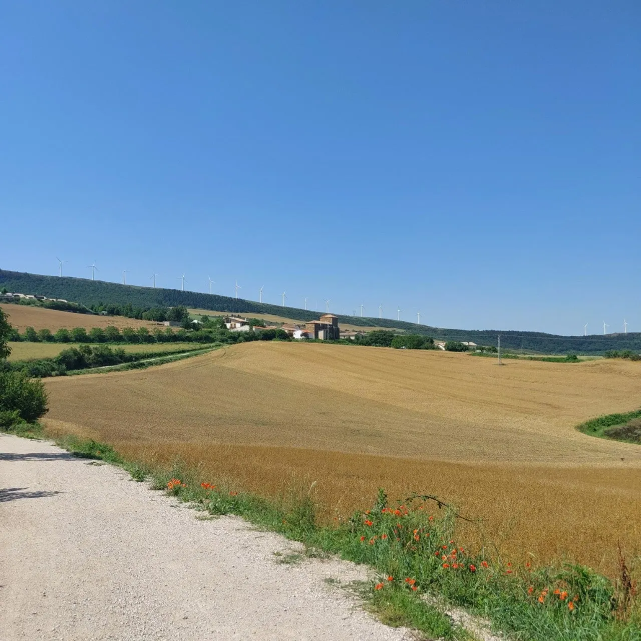 1_fj5Ud018svcip7rcjclrk7g_bc1i52.jpg?type=e1920_std