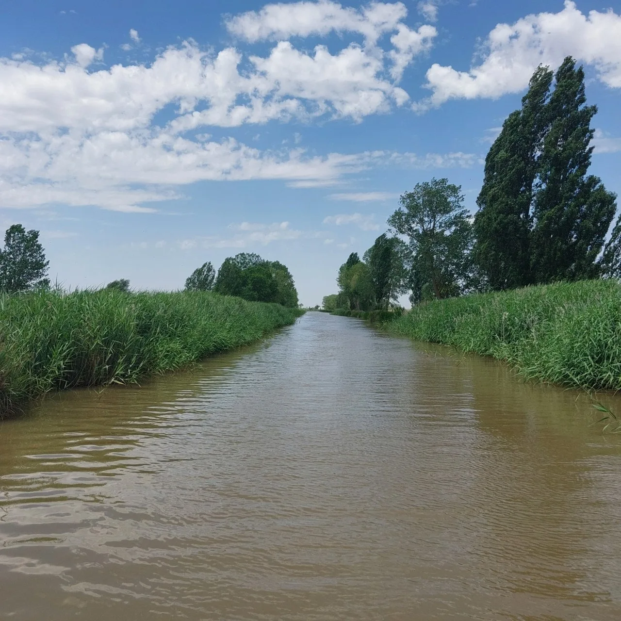 7_fgbUd018svc1x9yv7mtfn97f_bc1i52.jpg?type=e1920_std