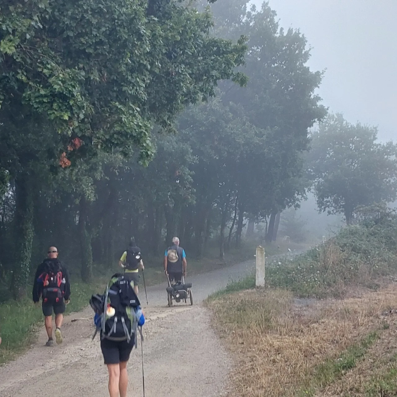 6_bhdUd018svcdhdn0zta0cae_bc1i52.jpg?type=e1920_std