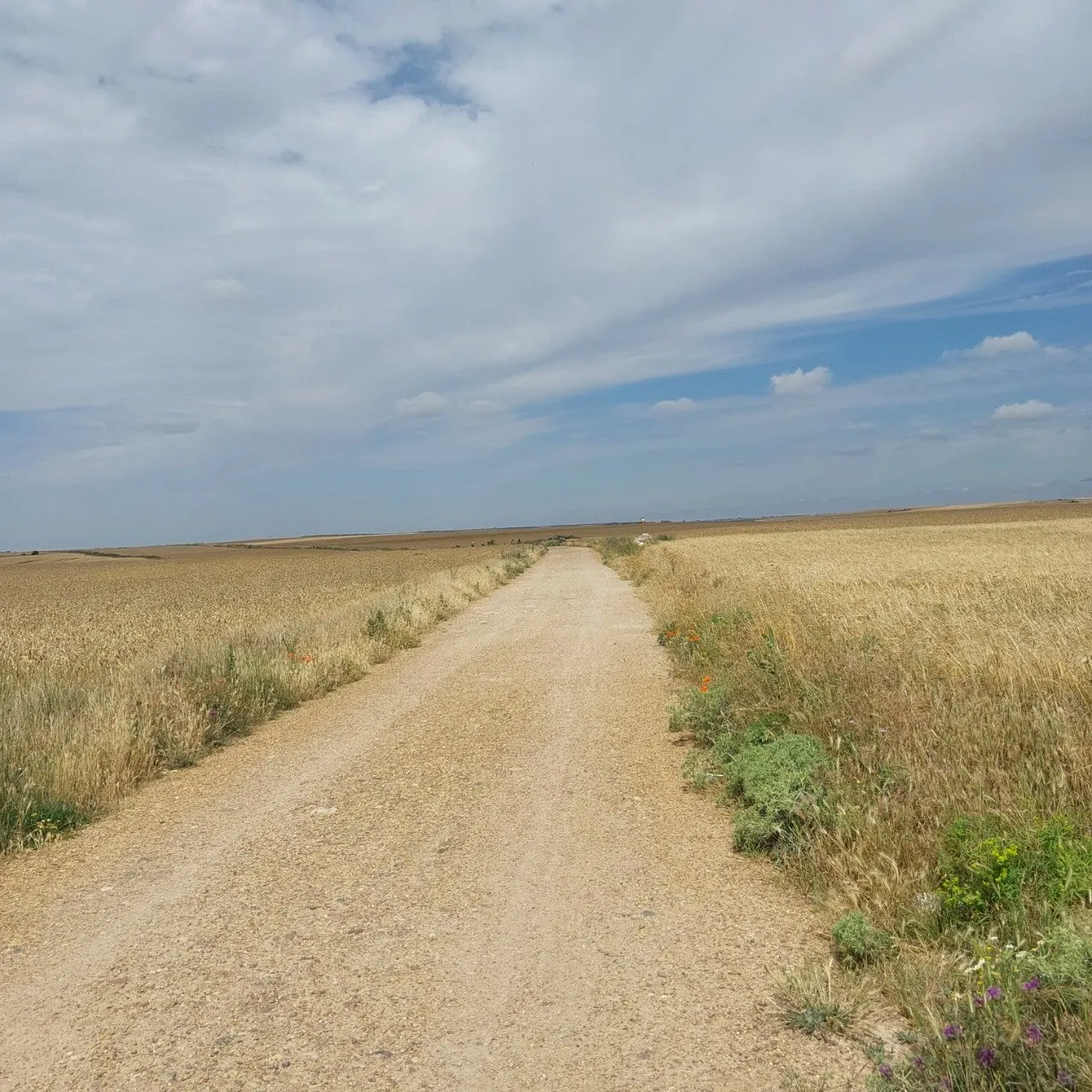 h_b0eUd018svc1cor9g4d59u0e_bc1i52.jpg?type=e1920_std