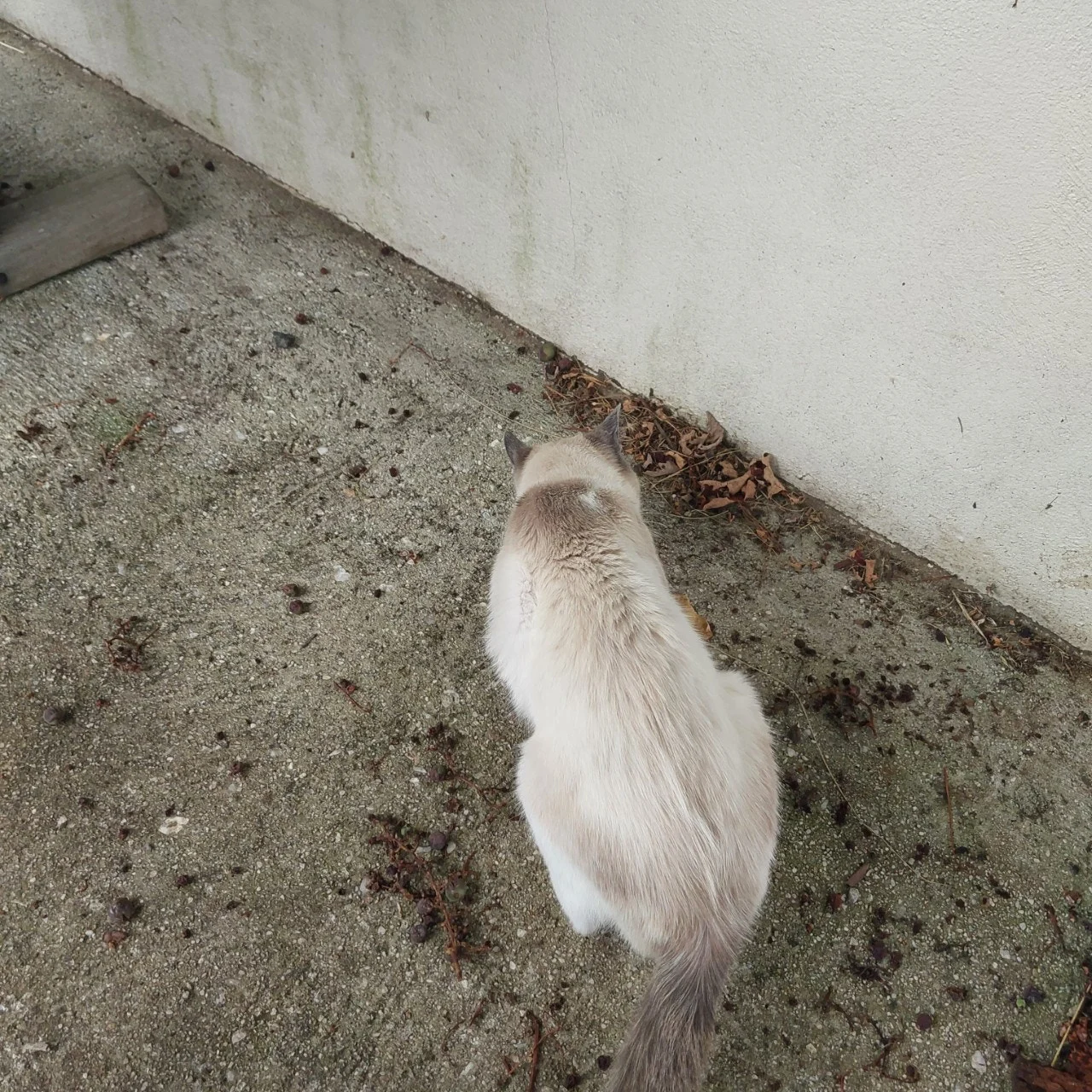 j_1d3Ud018svcty30vrifnpex_bc1i52.jpg?type=e1920_std