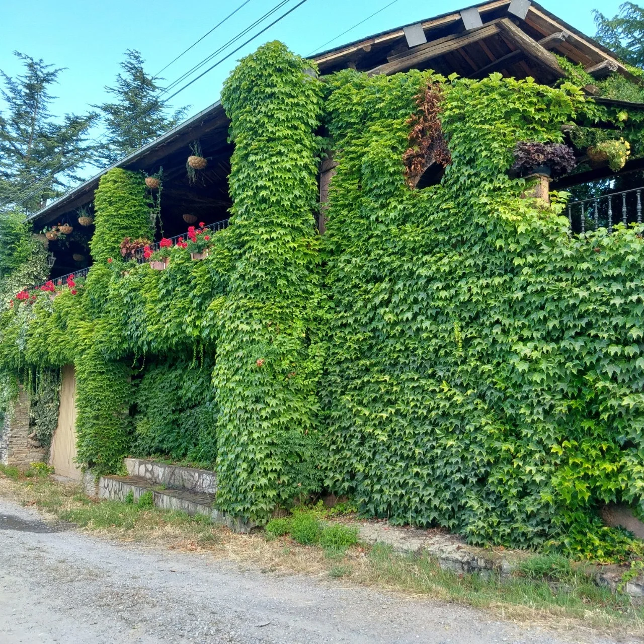 b_1abUd018svcpnjtjg45y3v3_bc1i52.jpg?type=e1920_std