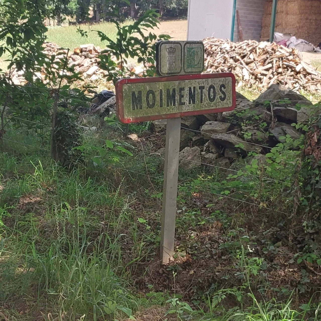 4_32cUd018svc1hjlli0pt7rmr_bc1i52.jpg?type=e1920_std