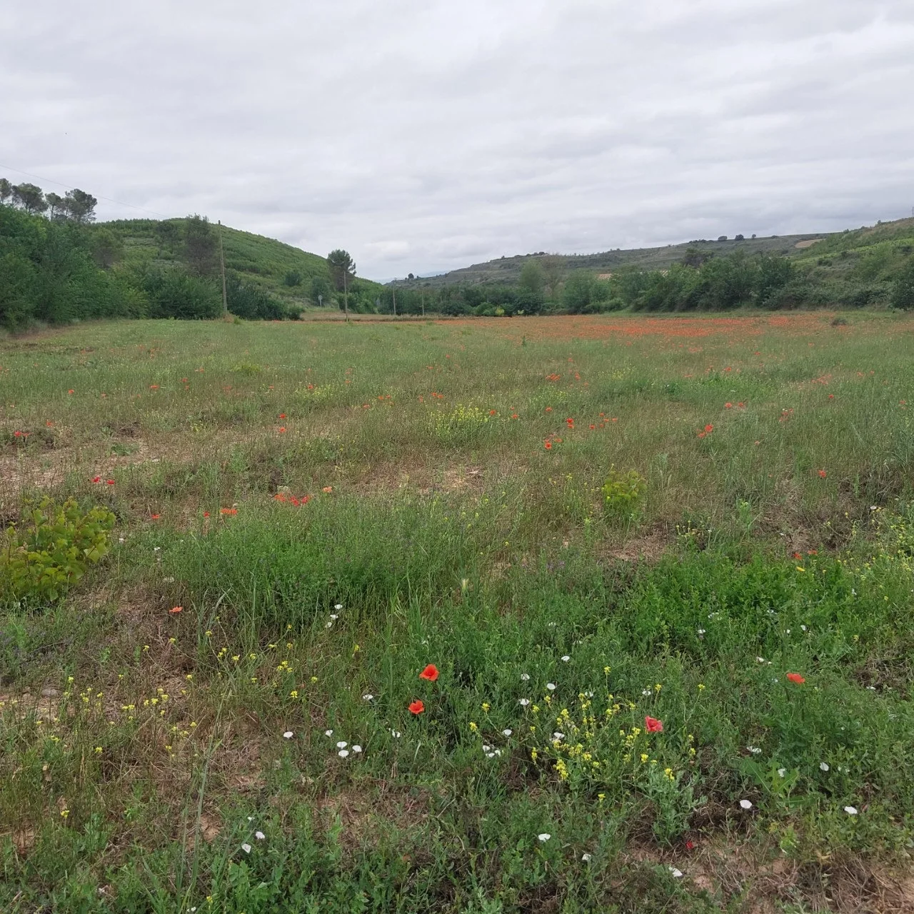 2_h4dUd018svc6y56wn0p4yer_bc1i52.jpg?type=e1920_std