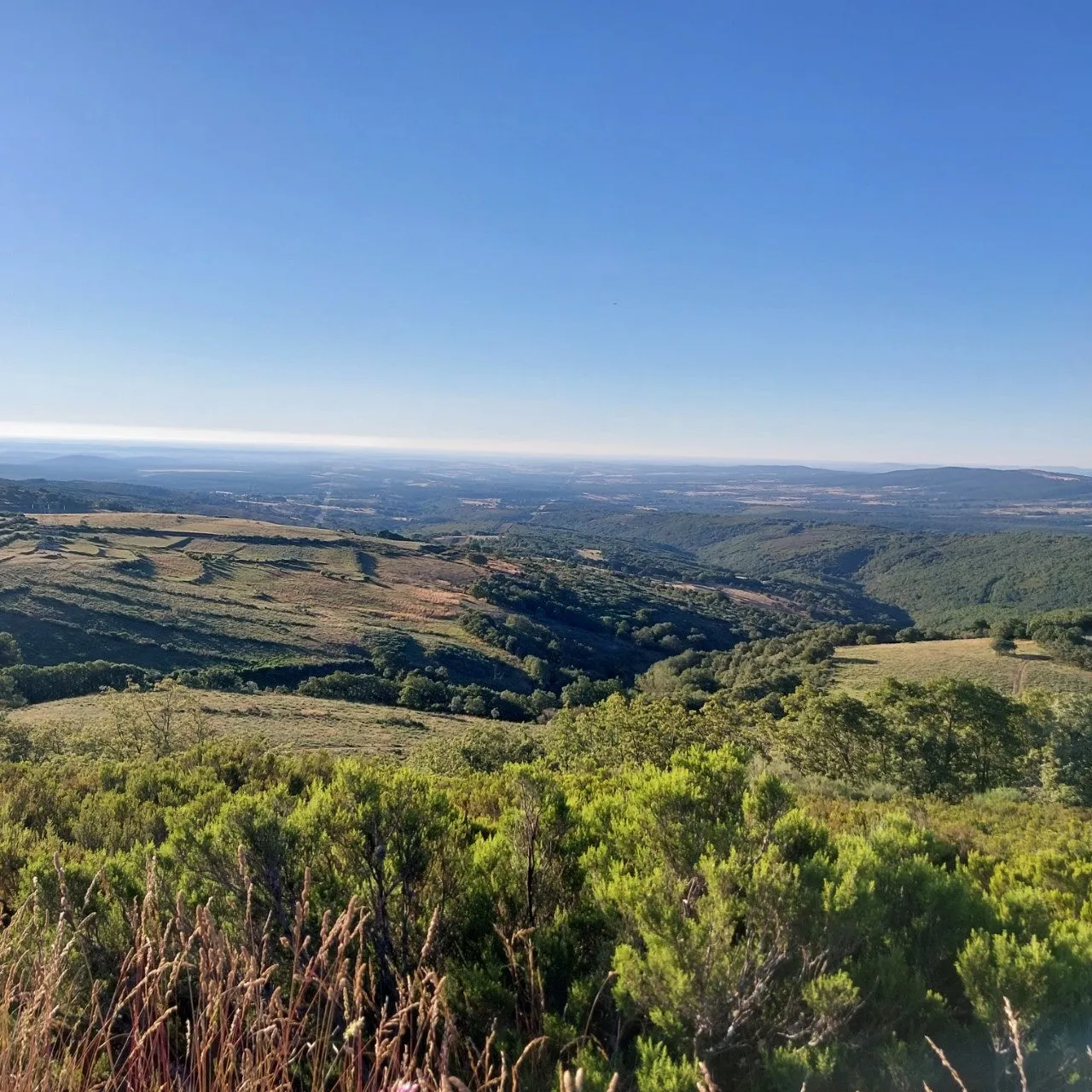 6_85bUd018svcv8qmtwn3fzg_bc1i52.jpg?type=e1920_std