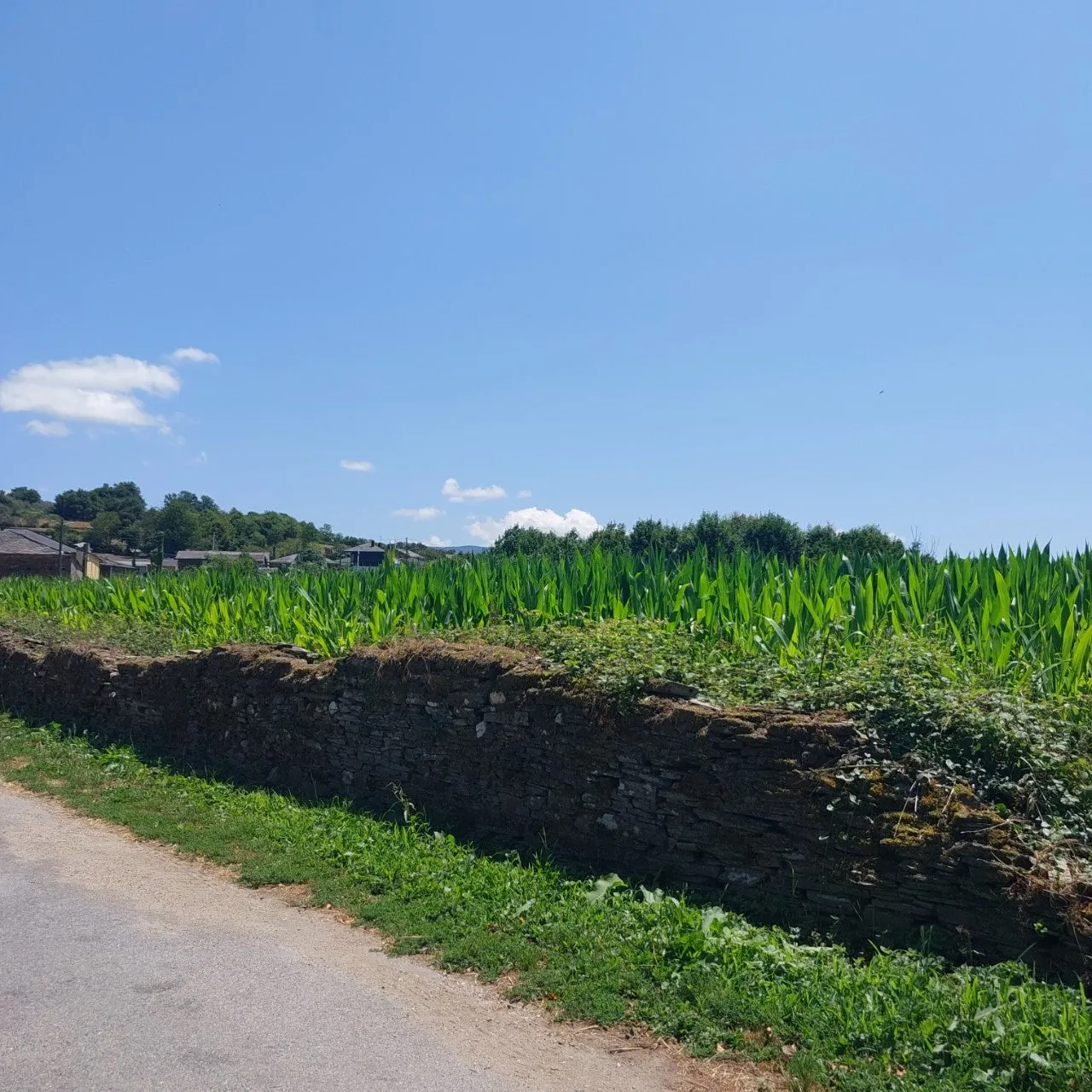 9_2i6Ud018svc1a21pue0ewgk3_bc1i52.jpg?type=e1920_std