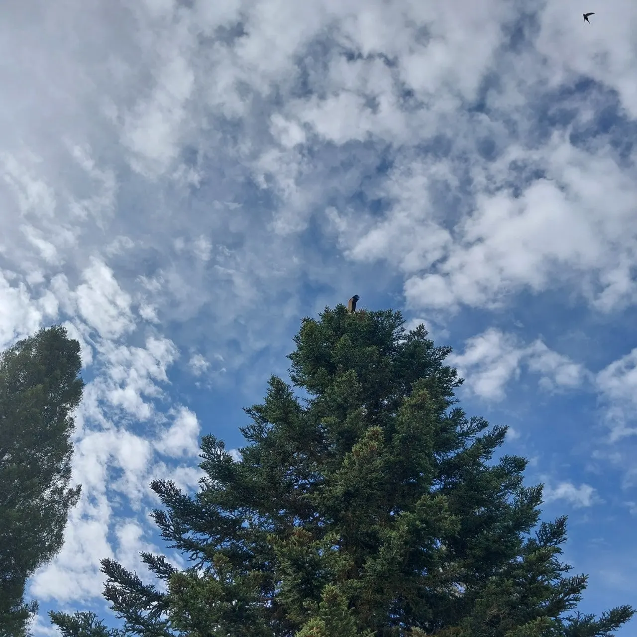 g_f0eUd018svc17asbhqdpt7z0_bc1i52.jpg?type=e1920_std