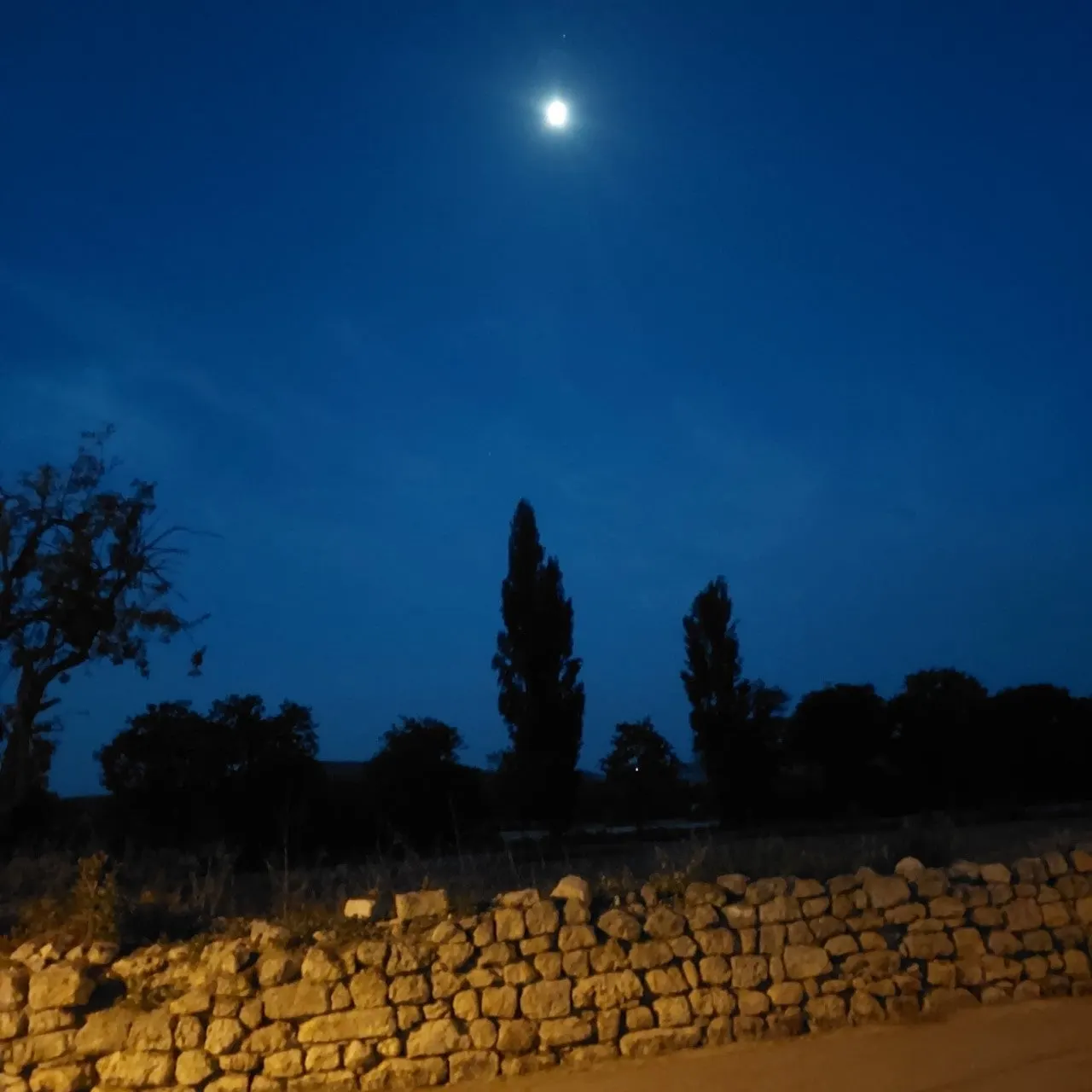 7_6gbUd018svcis56youol2cf_bc1i52.jpg?type=e1920_std