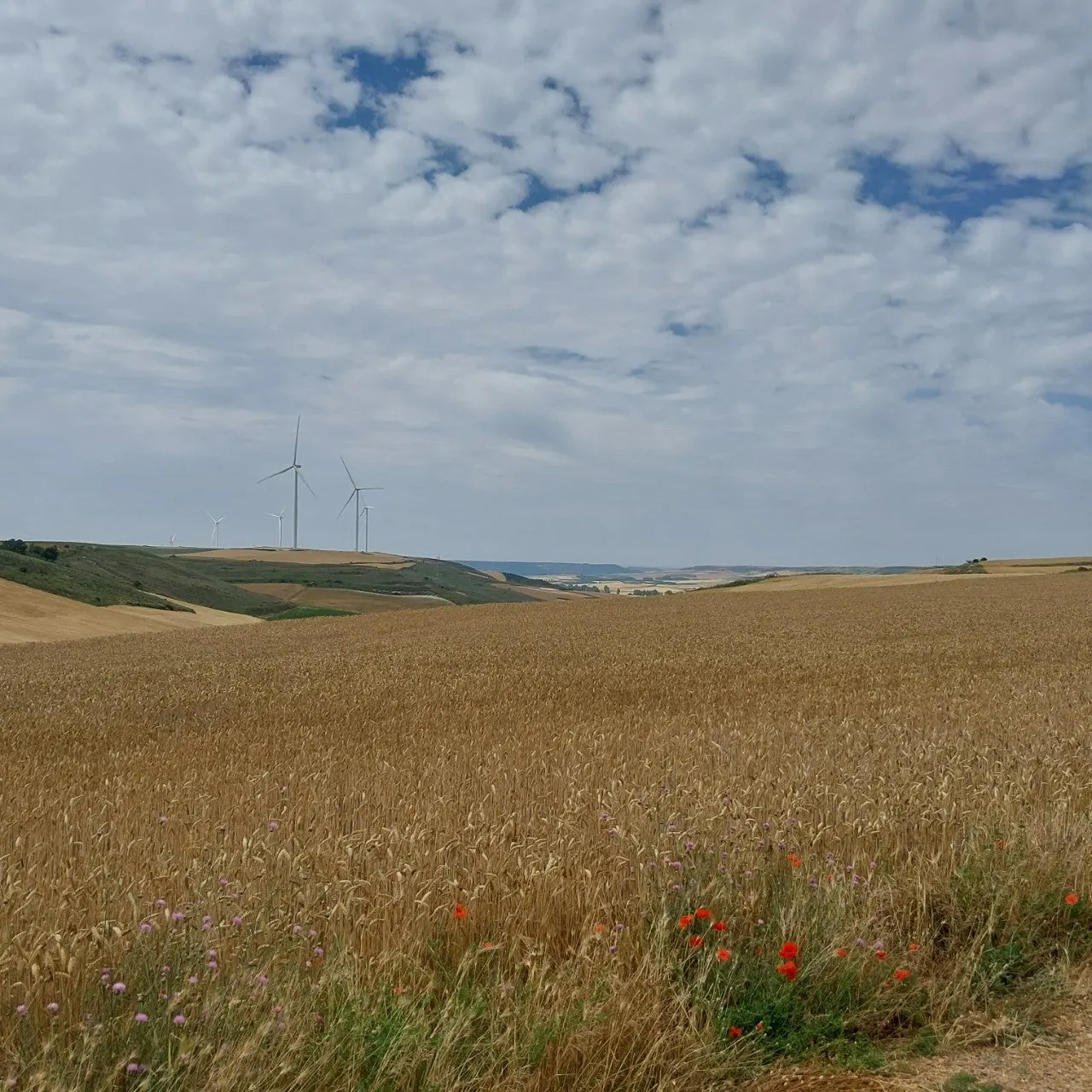 e_e0eUd018svc1nwconfuibwhj_bc1i52.jpg?type=e1920_std