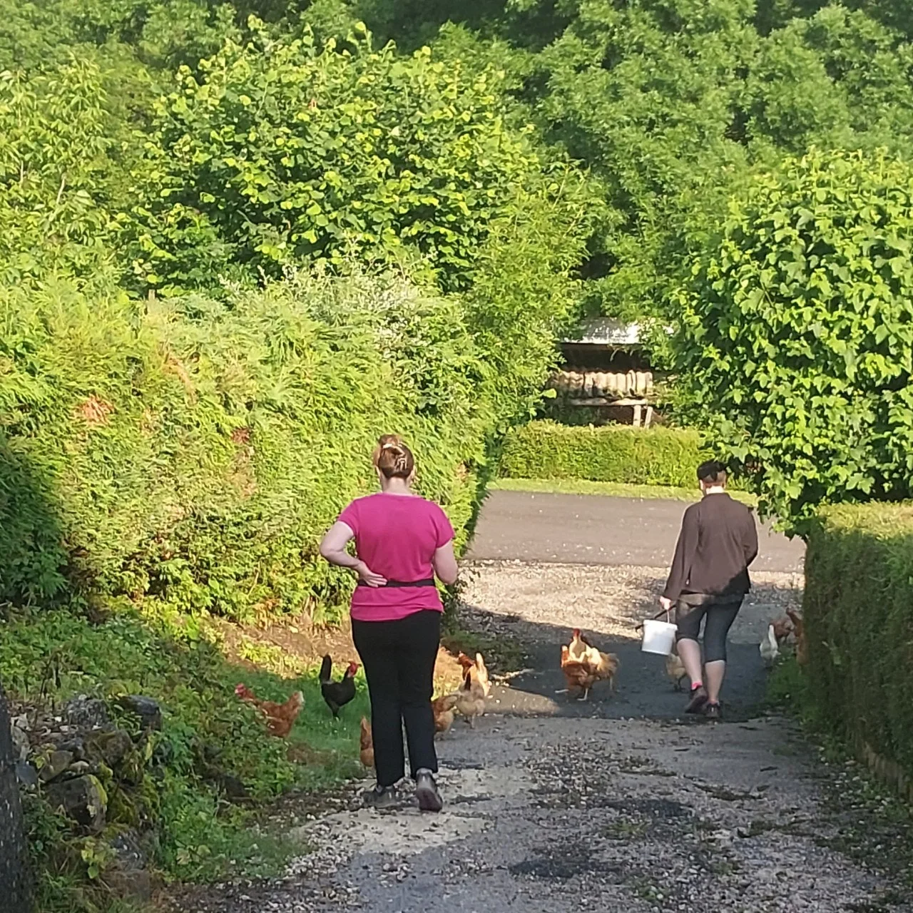 6_6idUd018svc3kf1t30yrza8_bc1i52.jpg?type=e1920_std