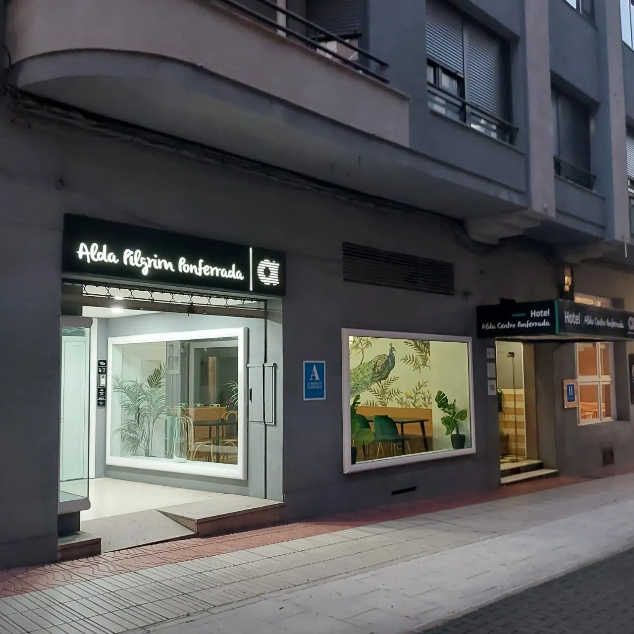 0_ch5Ud018svc3xav6i9ijojn_bc1i52.jpg?type=e1920_std