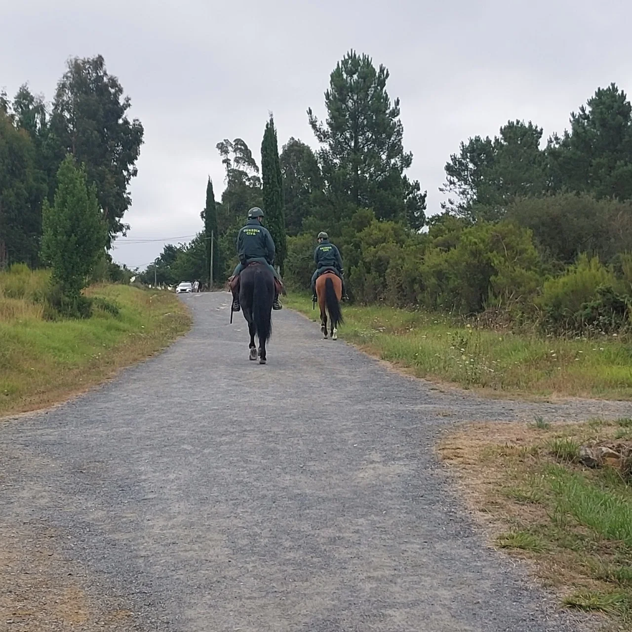 h_25jUd018svc19zszrut0l5ep_bc1i52.jpg?type=e1920_std