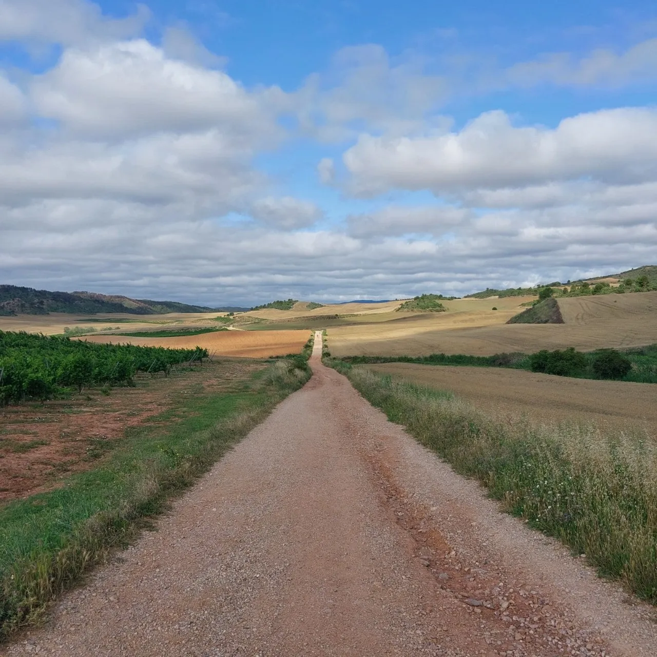 5_5e1Ud018svctpzidwh2lj8s_bc1i52.jpg?type=e1920_std