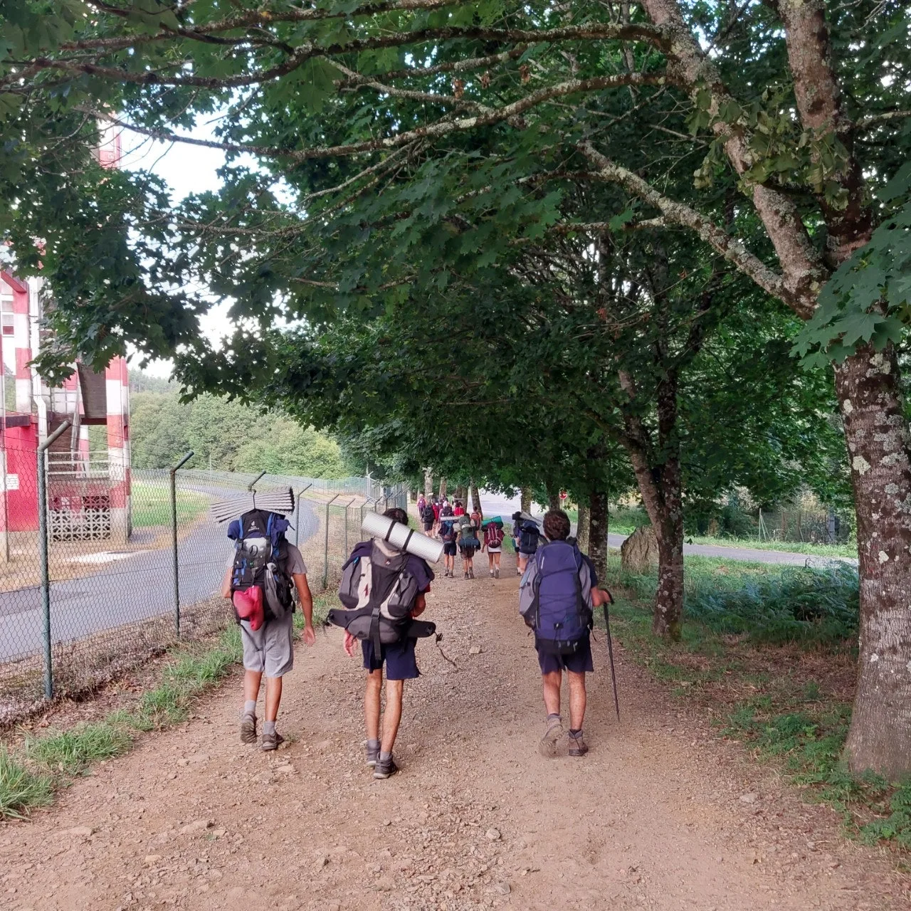 3_f1eUd018svc17j3mkkic2plm_bc1i52.jpg?type=e1920_std