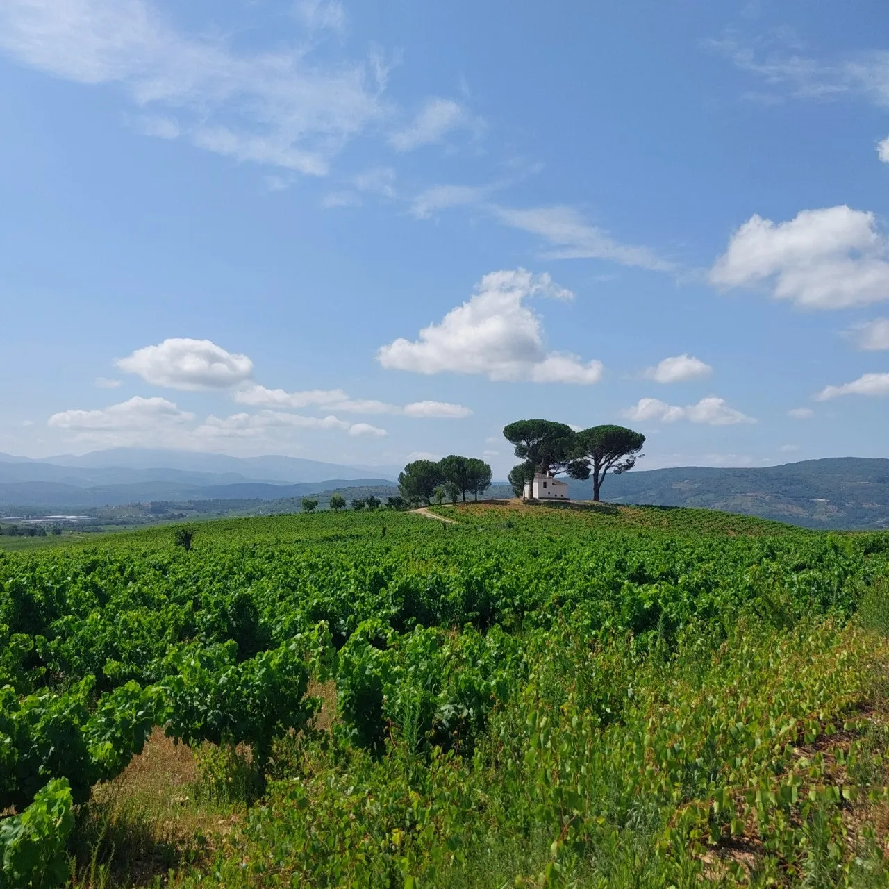 e_8h4Ud018svcahpfsyhsx9d4_bc1i52.jpg?type=e1920_std