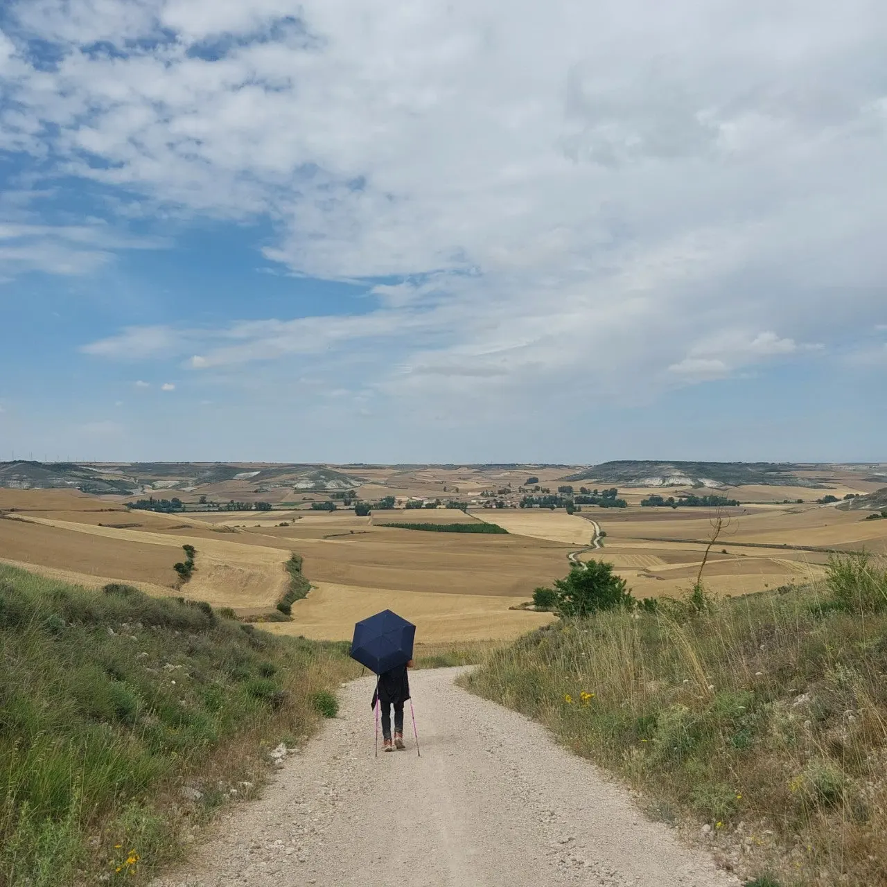 f_g0eUd018svcjk8f182ko0sm_bc1i52.jpg?type=e1920_std