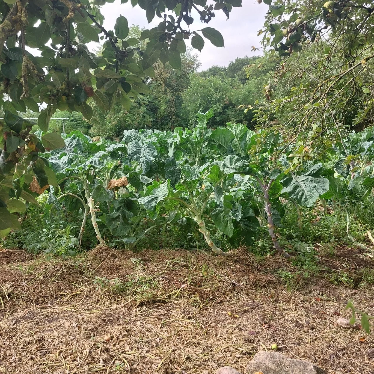 3_62cUd018svcdf9mvrnkjktf_bc1i52.jpg?type=e1920_std