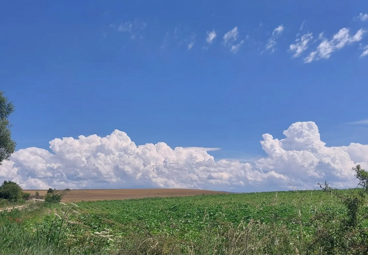 a_i94Ud018svc1dv9952tsigny_bc1i52.jpg?type=e1920_std