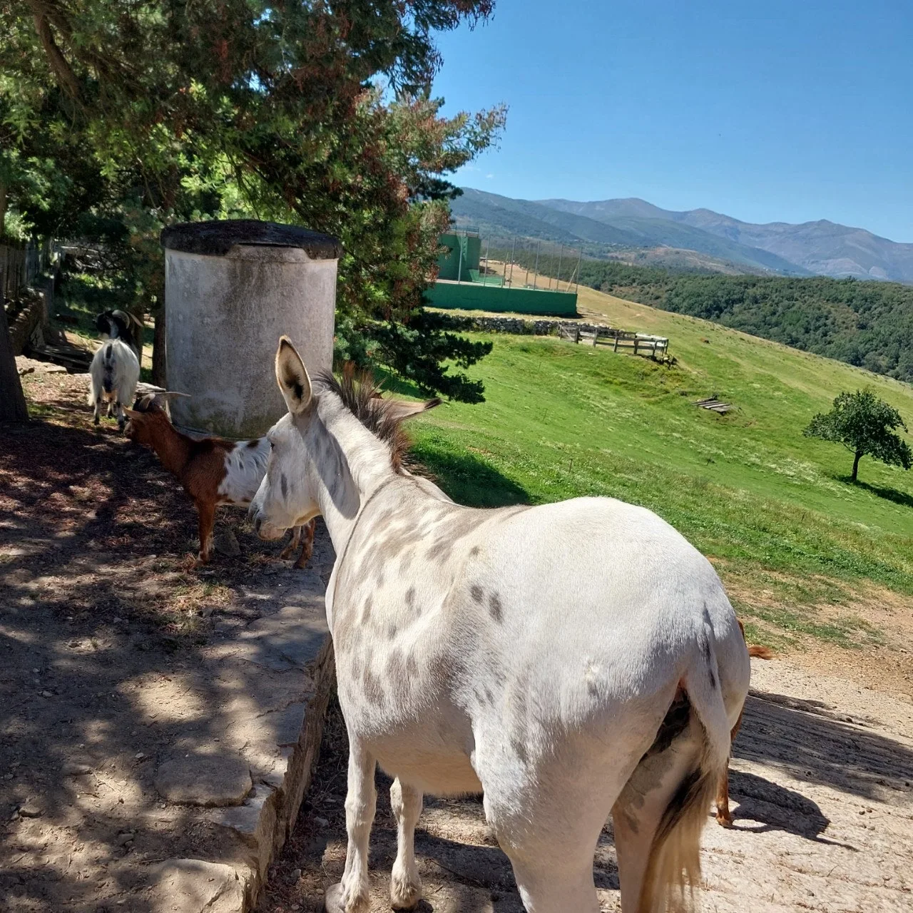 5_f5bUd018svcm61k50ip6qki_bc1i52.jpg?type=e1920_std